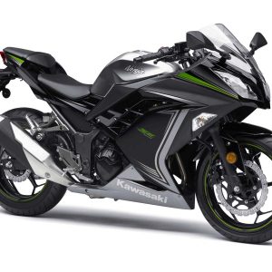 Ninja 300 (2012+)